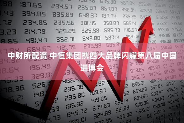 中财所配资 中恒集团携四大品牌闪耀第八届中国进博会