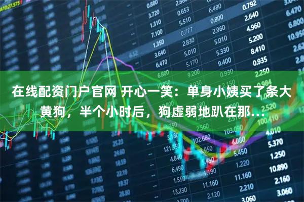 在线配资门户官网 开心一笑：单身小姨买了条大黄狗，半个小时后，狗虚弱地趴在那…