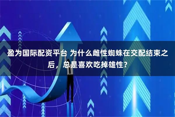 盈为国际配资平台 为什么雌性蜘蛛在交配结束之后，总是喜欢吃掉雄性？